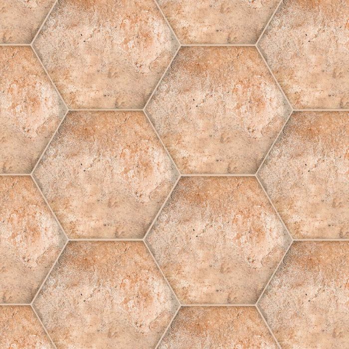 Symmetry 8x9 Hexagon Journey Coto