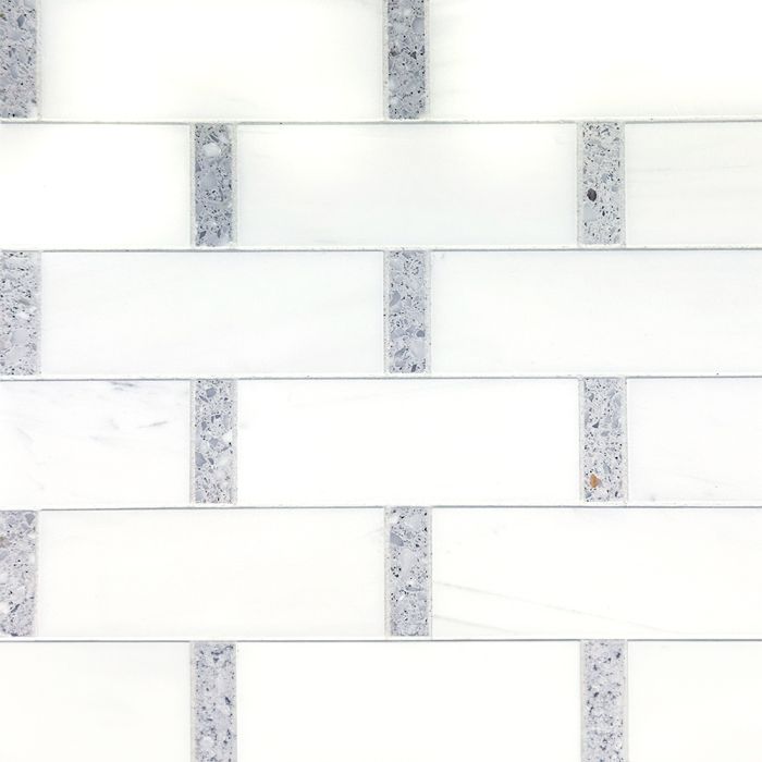 Montage 2x6 Mosaic Dolomite with Milligan insert